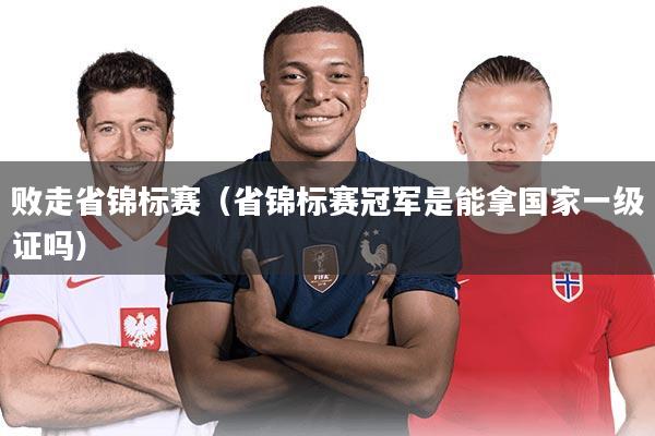 败走省锦标赛(省锦标赛冠军是能拿国家一级证吗)