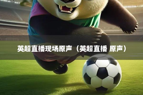 英超直播现场原声（英超直播 原声）