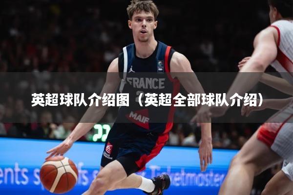 英超球队介绍图（英超全部球队介绍）