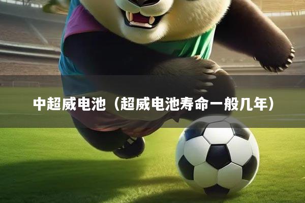 中超威电池（超威电池寿命一般几年）